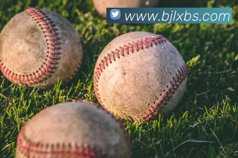 百家乐网站服务体系